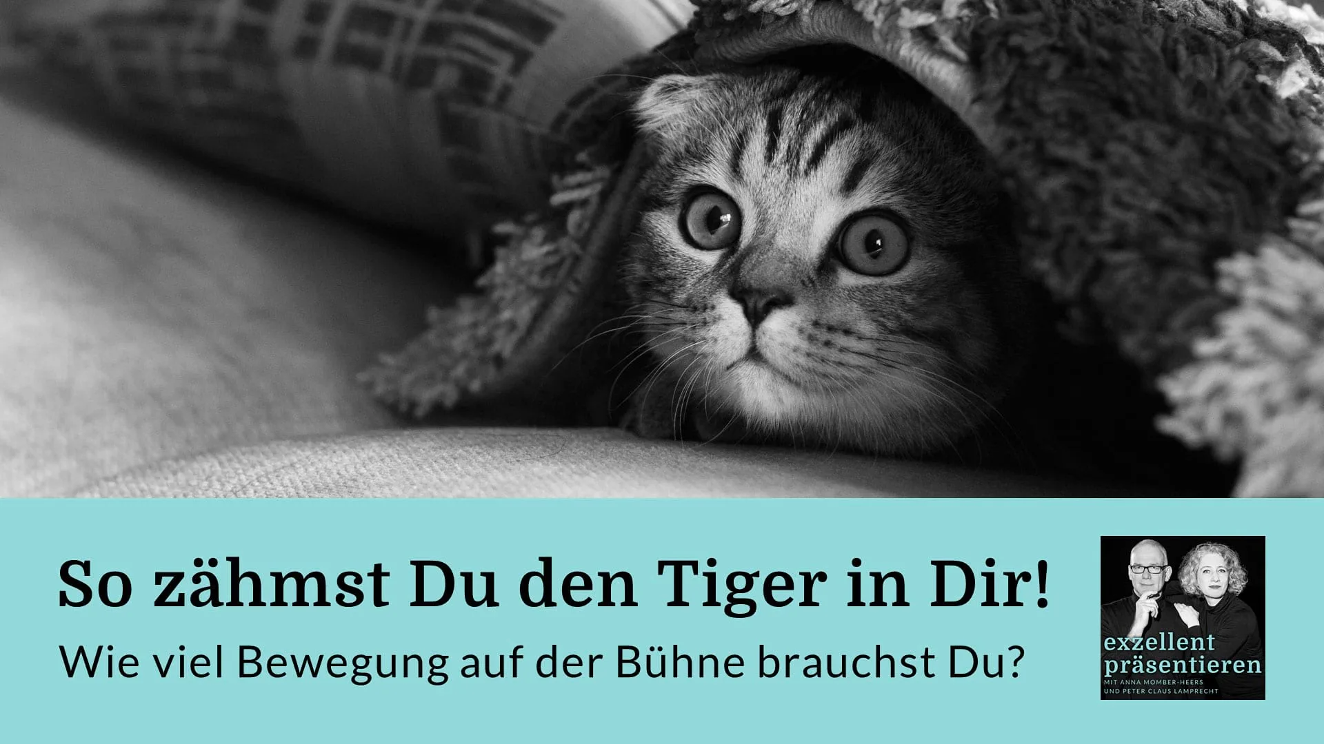 So zähmst Du den Tiger in Dir! Wie viel Bewegung auf der Bühne brauchst Du?