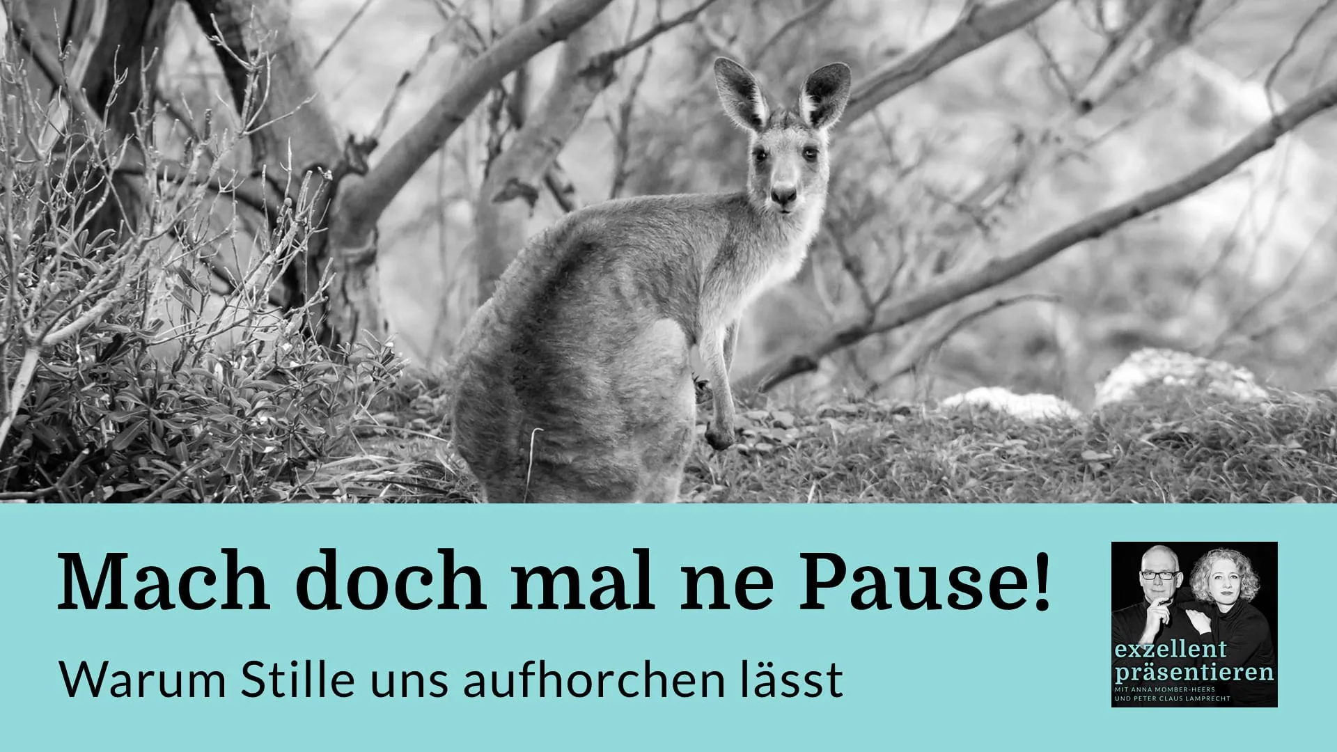 Mach doch mal ne Pause! Warum Stille uns aufhorchen lässt